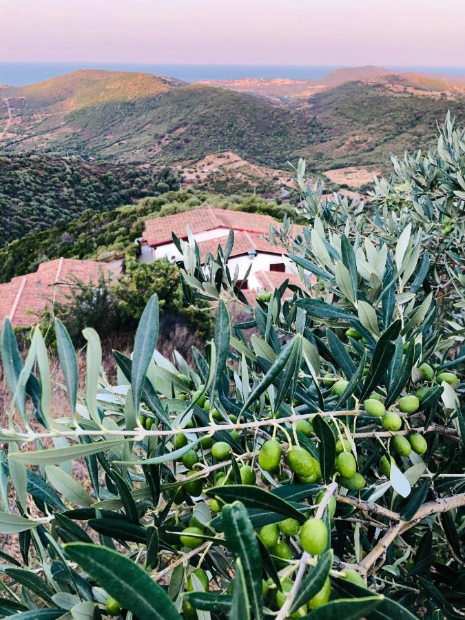 Trasicca B&B Brunella Bagian luar foto